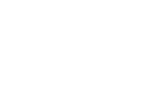 Studio Pink Boss